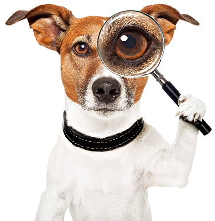 LOCALIZAÇÃO DE ANIMAIS